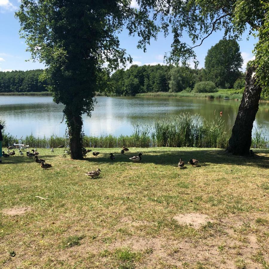 Strandstrasse H3W6 Koelpinsee Loddin Eksteriør bilde